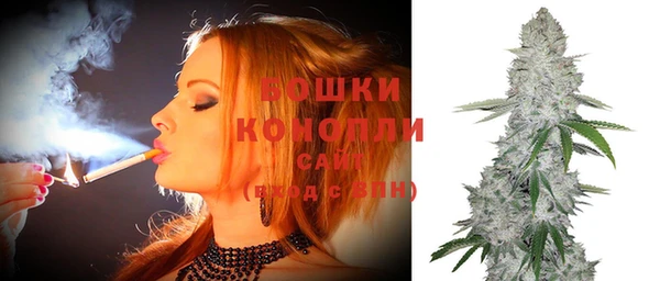 сатива Волоколамск