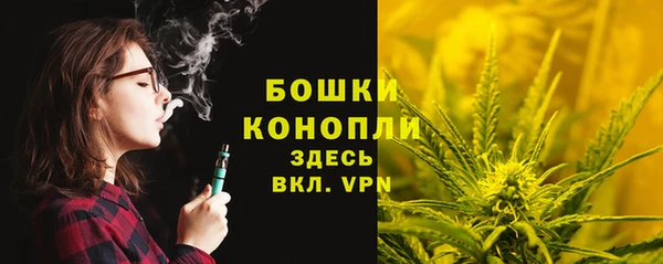 сатива Волоколамск