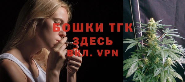 сатива Волоколамск