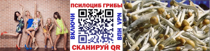 Галлюциногенные грибы мухоморы Славянск-на-Кубани